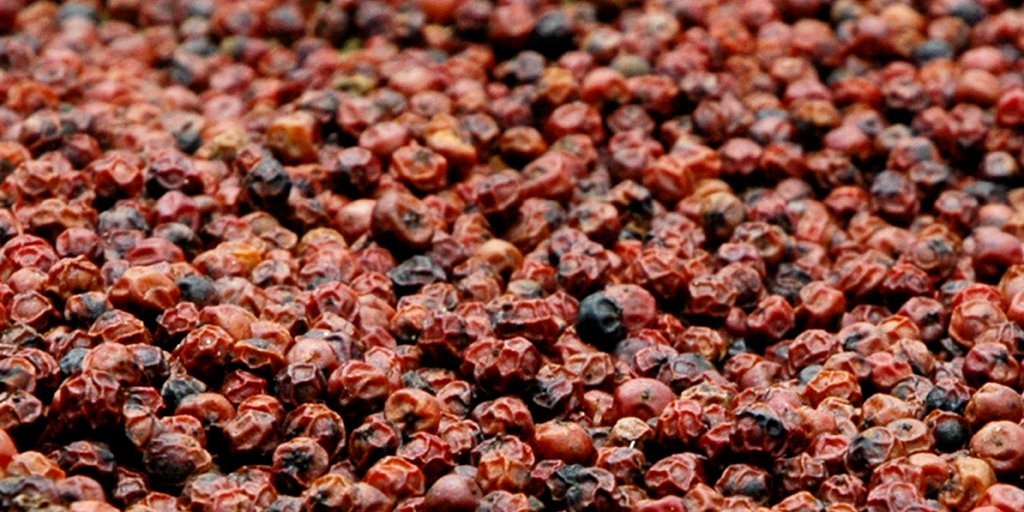 Roter Pfeffer Körner