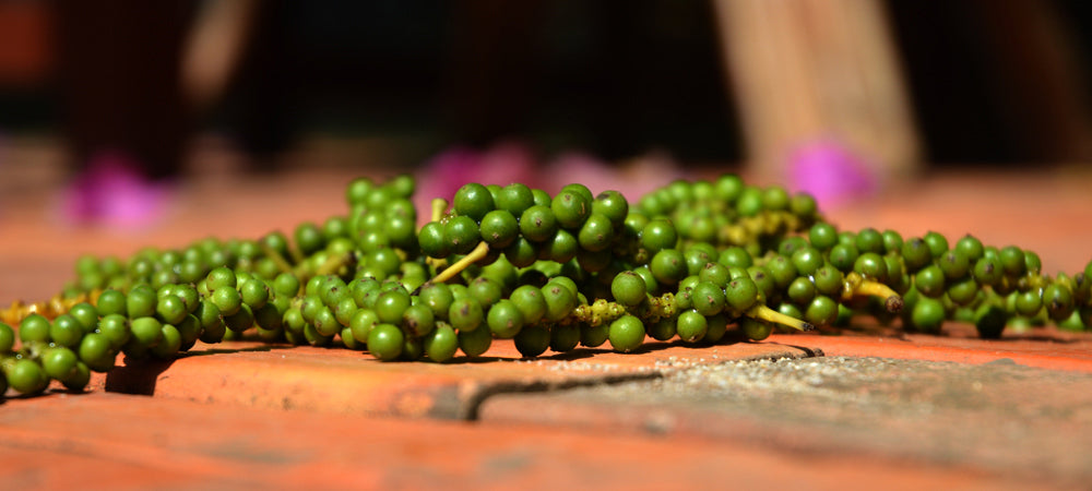 grüner Pfeffer auf Steinboden