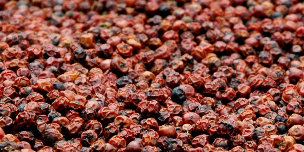 echter roter Pfeffer getrocknet