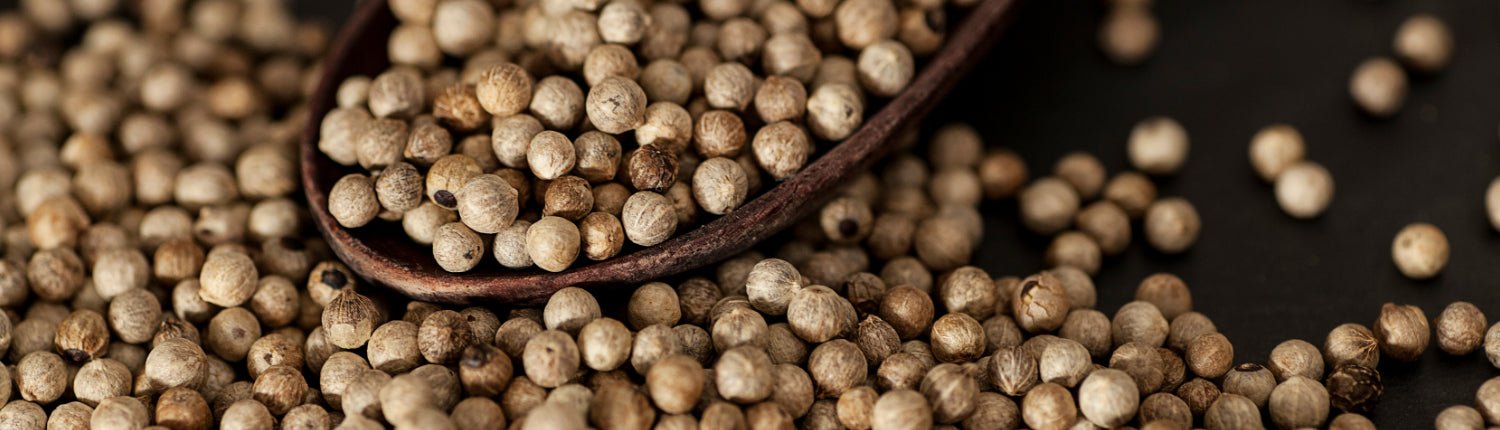 Wie entstand weißer Pfeffer? - Pure Pepper