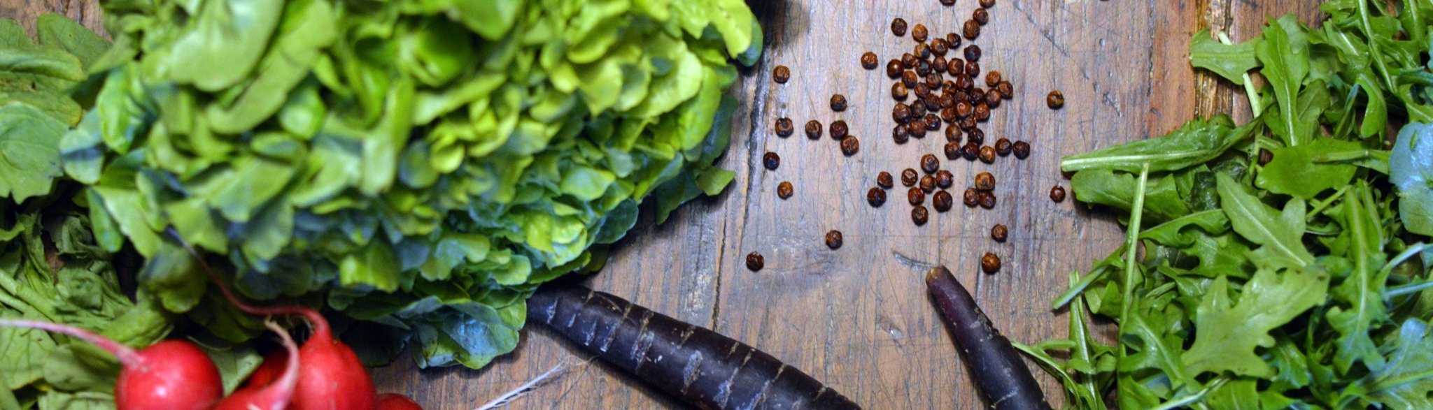 Salate - Pure Pepper - Kopfsalat, Radieschen, Ruccola und rotem Pfeffer