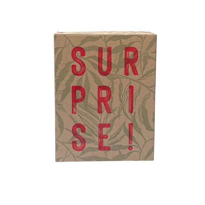 Pfeffer & Salz Entdecker - Schachtel | Pure Pepper